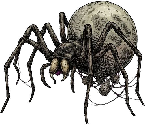 A vast spider with a swollen pale body
